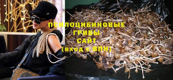 тгк Аркадак
