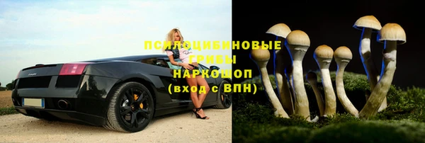 тгк Аркадак