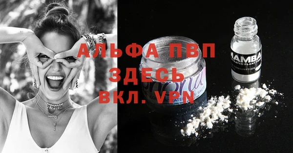 хмурый Нефтекумск