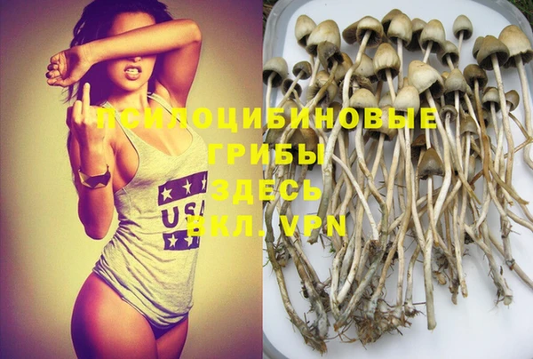тгк Аркадак